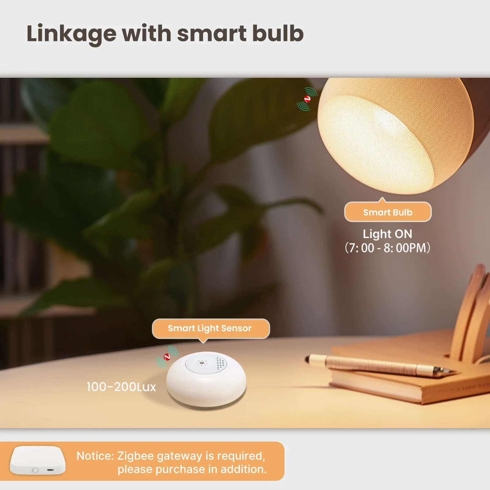MOES Tuya Zigbee Smart Light S - Smart Home Moes ulasan dan harga