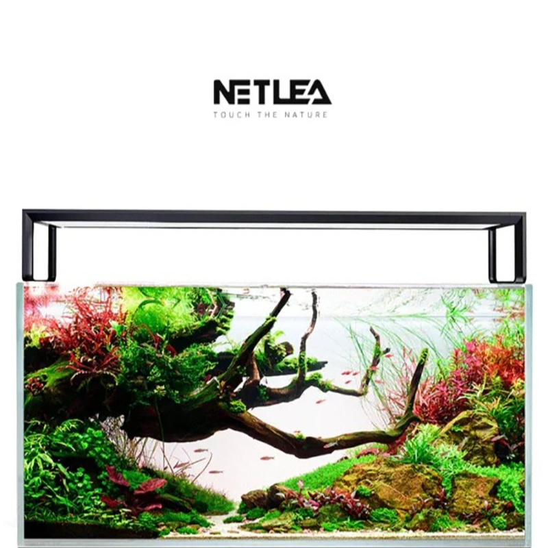 Netlea AT5S V4 Smart Wifi APP  - Wifi Led Dimmer ulasan dan harga