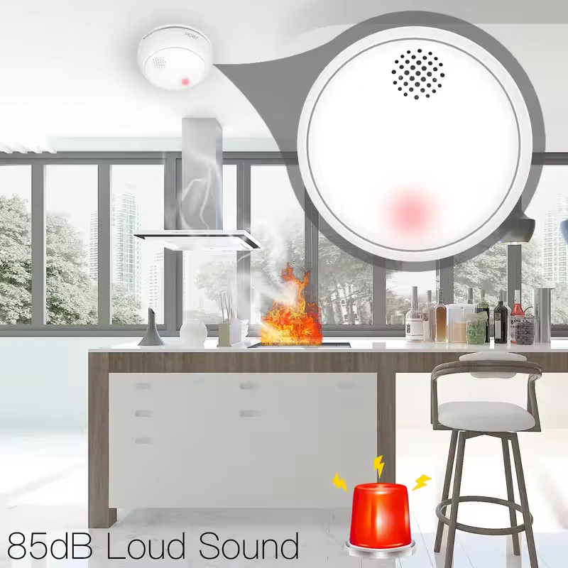 MOES ZigBee Smart Wireless Smo - Smart Home Moes ulasan dan harga