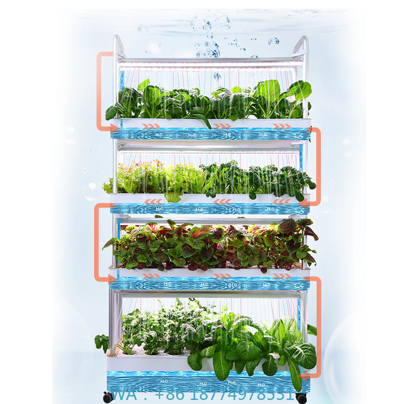 ydroponic Planting System Smar - Smart Home Diy ulasan dan harga