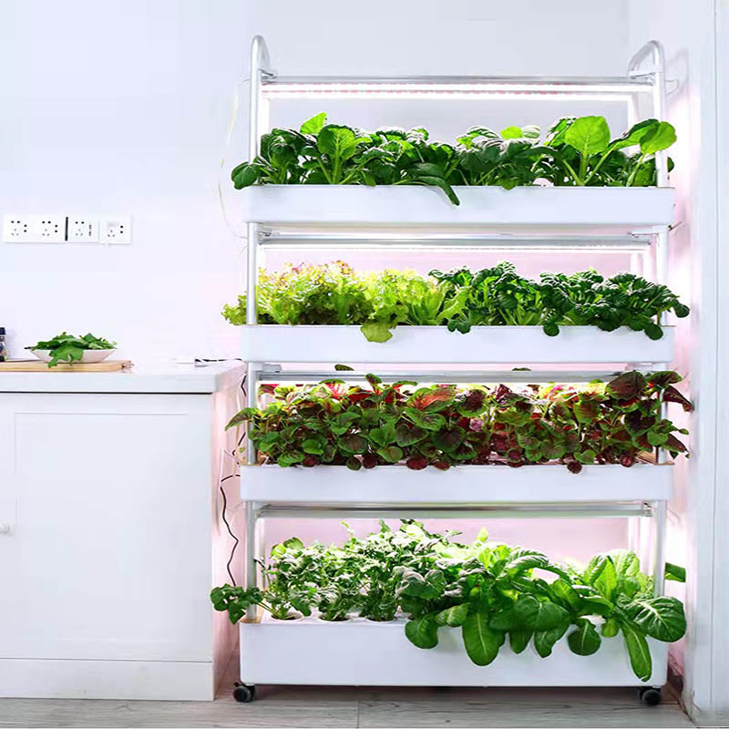 ydroponic Planting System Smar - Smart Home Diy ulasan dan harga