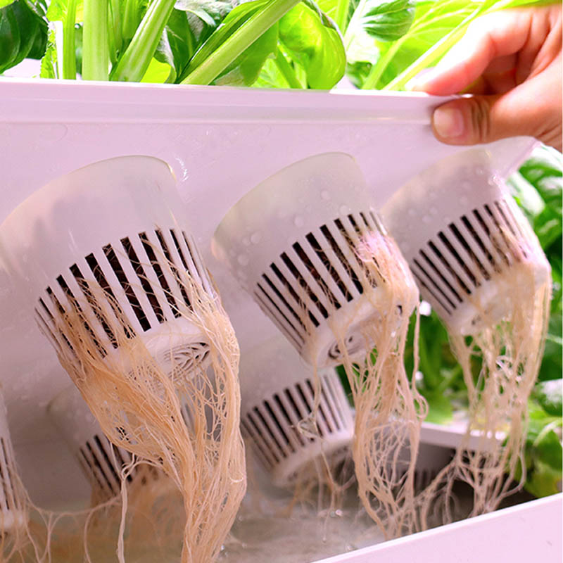 ydroponic Planting System Smar - Smart Home Diy ulasan dan harga