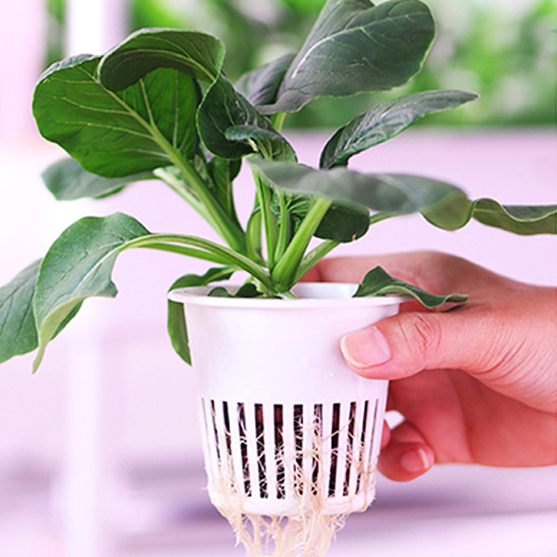 ydroponic Planting System Smar - Smart Home Diy ulasan dan harga