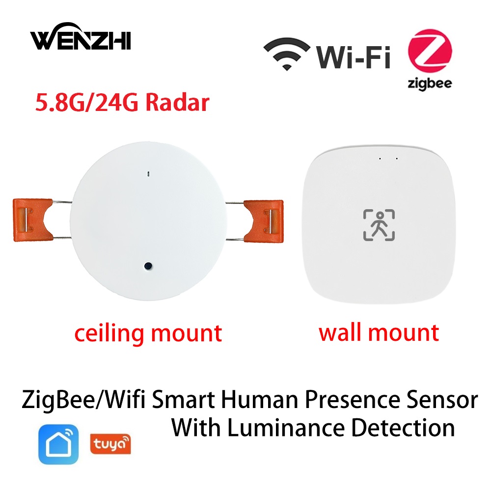 ZigBee Wifi MmWave Human Prese - Smart Home Diy ulasan dan harga